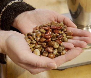 FEMA spokeswoman Alexa C. Lopez said a form of ricin that is safe for humans is supposed to be used in the training. (AP Photo/Kevin Rivoli)