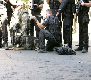SWAT K9s can benefit from training with robots. (Image Robotex)