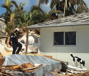 SDF search teams are helping after the deadly 7.2 magnitude earthquake killed hundreds.
