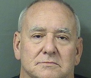 Steven Shapiro pleaded guilty Friday to fraud, dealing in stolen property, grand theft and illegal use of credit cards.