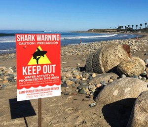 A sign warns beach goers at San Onofre State Beach after a woman was attacked by a shark in the area.