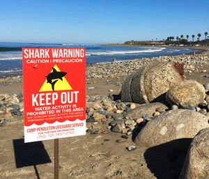 A sign warns beach goers at San Onofre State Beach after a woman was attacked by a shark in the area.