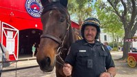 ‘Who doesn’t love a horse?’: After 11-year hiatus, mounted patrols return to S.C. city