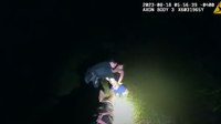 Video: Fla. K-9 tracks down suspect who spiked date's drink with cockroach spray