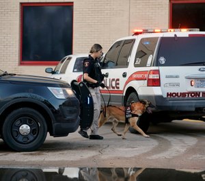 A Houston Independent School District Police K-9 unit responds to a shooting at Bellaire High School in Bellaire, Texas. (Photo/Mark Mulligan/Houston Chronicle via AP)