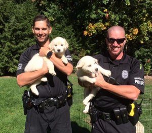 Hero Pups started placing dogs in 2012 and the rest, as they say, is history.