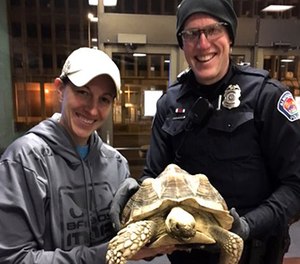 This Nov. 30, 2015 photo provided by the Albuquerque Police Department show Albuquerque Police Department Detective Megan Glynn, left and Officer Ryan Holets.