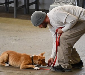 Second Chance Pups works with the Nebraska Department of Correctional Services to pair inmates with dogs for a nine-week training course that prepares the dogs for adoption. (Photo/Second Chance Pups)