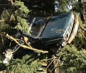 Crews were called for a report of a truck wrapped around a tree ... 10 feet up.