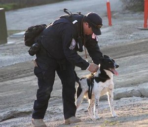 Rocket is helping out after Hurricane Harvey as a search dog trained to work with responders in disasters.