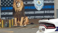 Va. police unveil new mural honoring LEOs