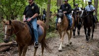 Program uses horses to ease veterans’ PTSD