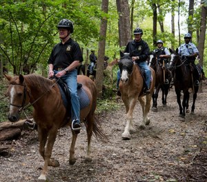 Veterans find healing through the equine therapy program provided by the Ridewell Program.