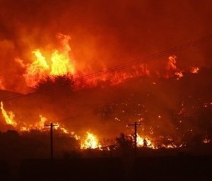 A wildlife burns near Othello, Adams County, in 2017.