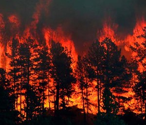 A wildfire burns near the historic mining town of Landusky, south of the Fort Belknap Indian Reservation in north-central Montana.