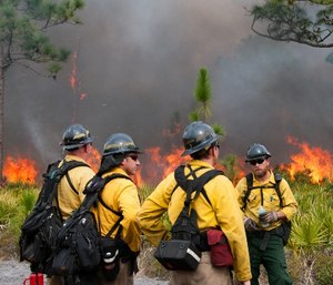 (Photo/U.S. Department of the Interior)