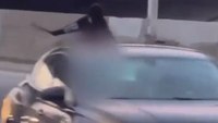Video: Detroit police intervene as naked woman wields machete at drivers on freeway