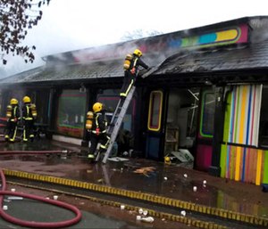 Misha the aardvark died and four missing meerkats were presumed to have perished as well in a fire at the London Zoo.