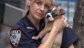 Nypd Takes Over After Aspca Closes Enforcement Unit