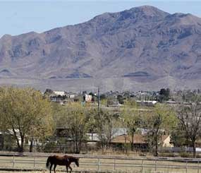 In this March 22, 2012 photo, a horse trots around a field in the early morning in Sunland Park, N.M. Scandal in this small border town is nothing new. But what is new is the harsh response: State and federal authorities are focusing on border town corruption as part of the larger effort to battle the influence of Mexican drug cartels. (AP Image)