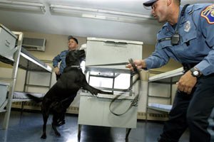 New Jersey corrections officer Joseph Nicholas encourages his dog, Izzy, to find a hidden cell phone in a training room at the Albert C. Wagner Youth Correctional Facility in Bordentown, N.J. (AP Photo/Mel Evans, File)