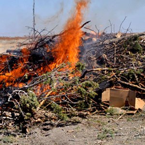The right side of the fire has been sprayed with FireSuppress and will not ignite.