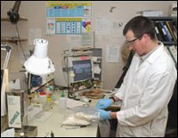CSI / Forensics