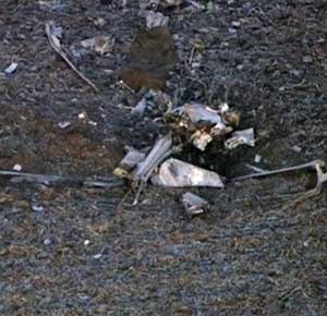 AP Photo/Courtesy of WLS-TV
The FAA and NTSB are investigating the crash