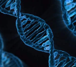 Why the DNA collections haven’t already been completed over the last two decades is nothing short of injustice, experts say.