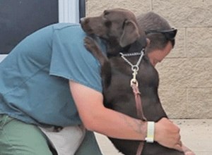 Anecdotal reports from staff, inmates and recipients of the service dogs are overwhelmingly positive.