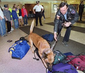 Cheektowaga police officer Daniel Smith and Breston, a narcotics dog, inspect student backpacks before the start of school at John F. Kennedy high school April 1999.