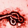 Ebola: What does EMS need to know?