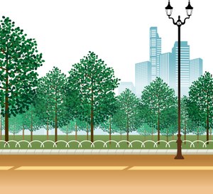 Site image