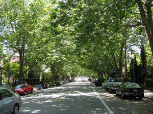 Site image