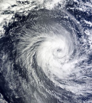Site image