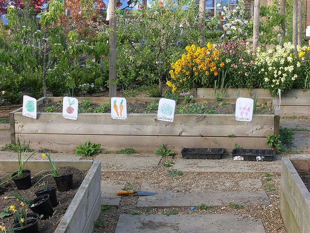 School Garden Grants Offered by Many