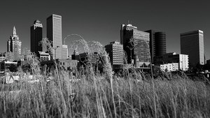 Site image
