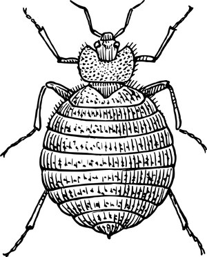Site image