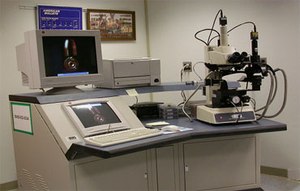 Site image