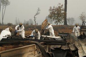 Site image
