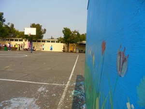 Site image