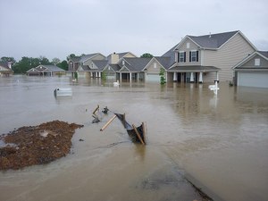 Site image