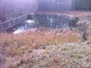 Site image