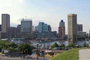 Site image