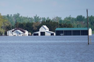 Site image