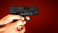 Study: The impact of purchaser licensing on gun violence