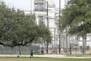 Site image