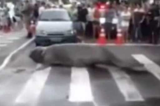 AP Photo/Las Vegas Fire and Rescue