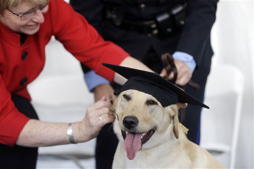 AP Photo