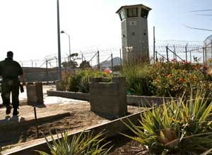 Inmates at San Quentin have created a tiny retreat for themselves within the prison yard walks: a 1200-square organic garden.
